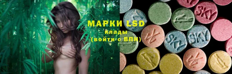 наркотики  Рассказово  Лсд 25 экстази ecstasy 